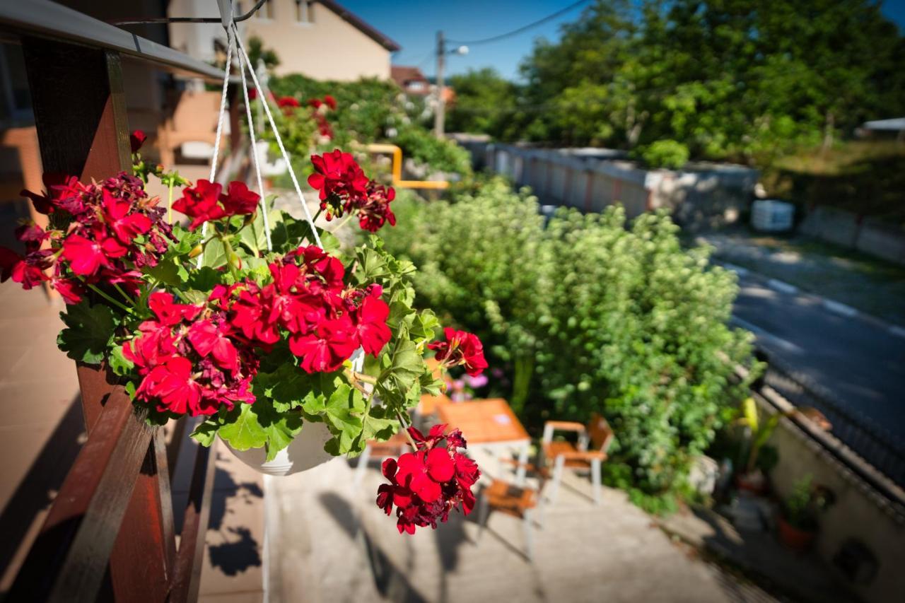 Hotel Vila Victoria Râmnicu Vâlcea Zewnętrze zdjęcie