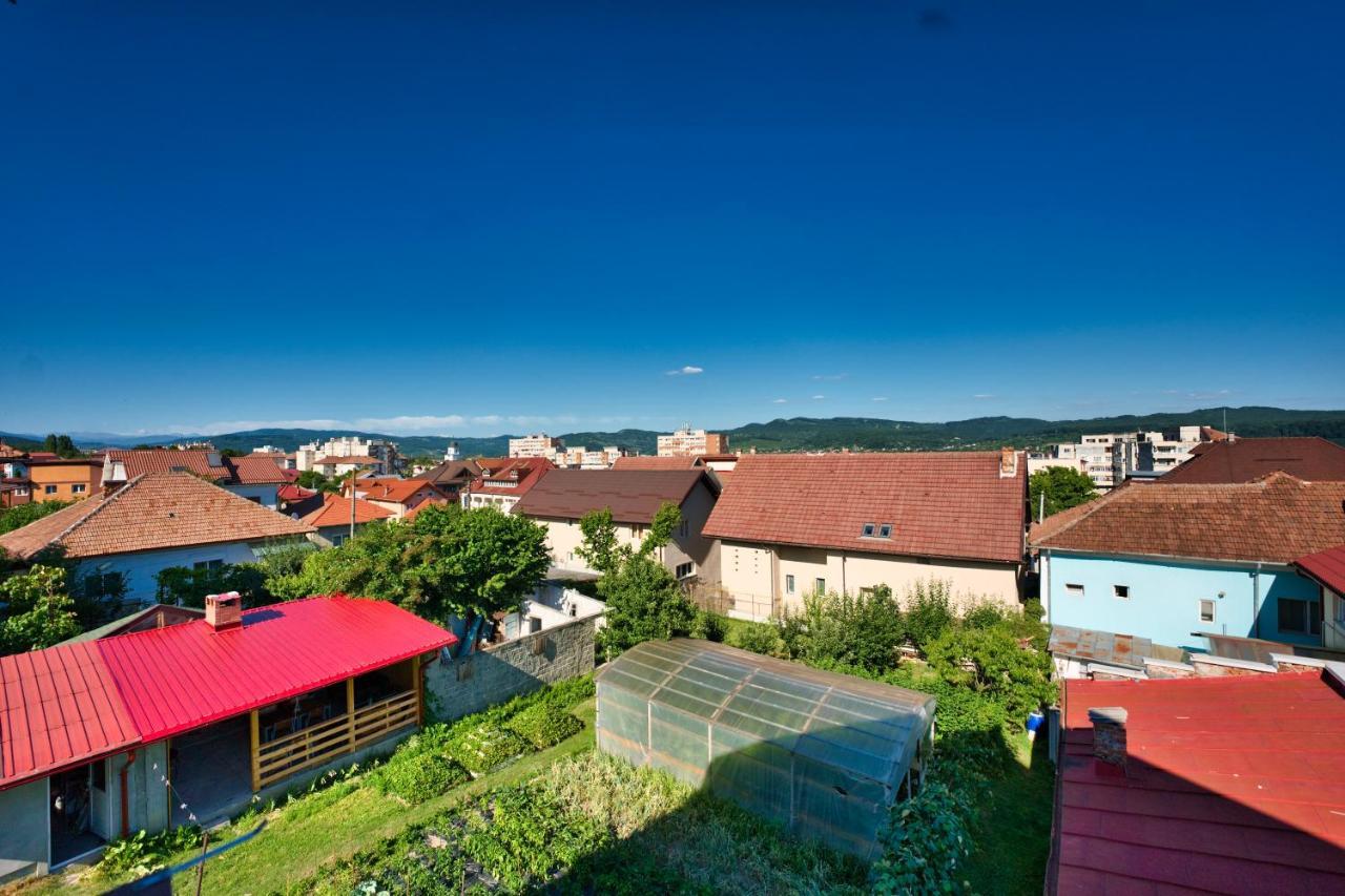 Hotel Vila Victoria Râmnicu Vâlcea Zewnętrze zdjęcie