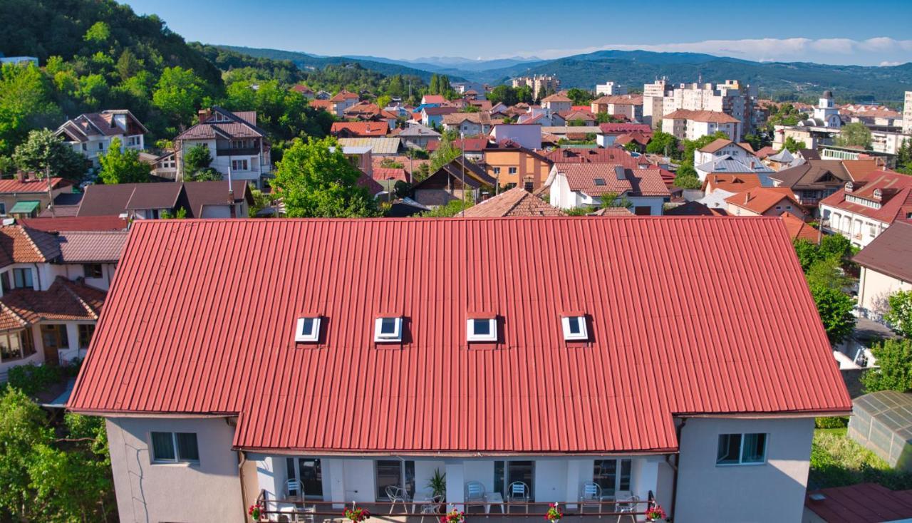 Hotel Vila Victoria Râmnicu Vâlcea Zewnętrze zdjęcie