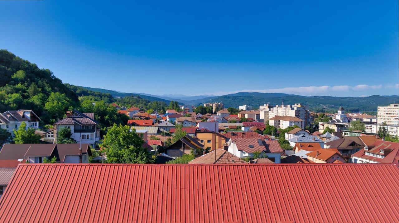 Hotel Vila Victoria Râmnicu Vâlcea Zewnętrze zdjęcie