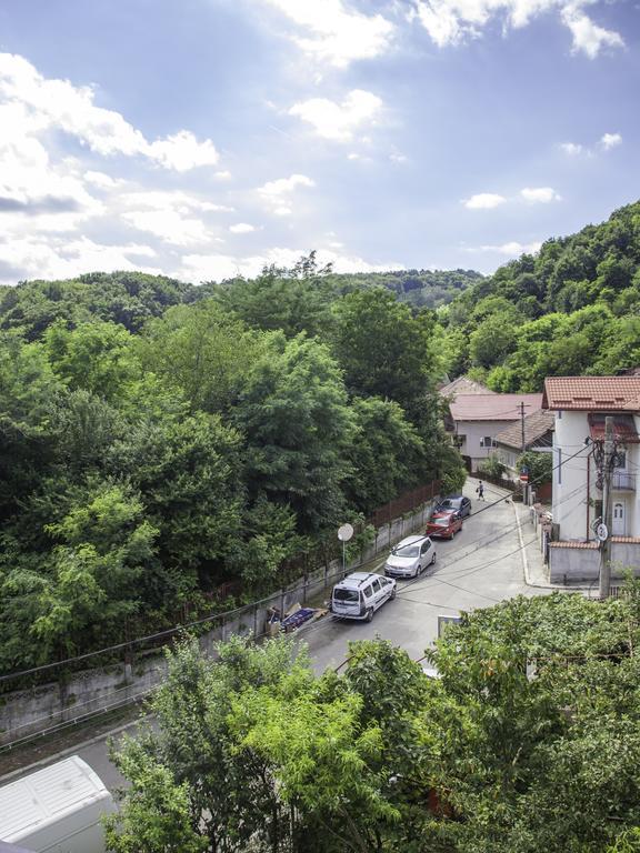 Hotel Vila Victoria Râmnicu Vâlcea Zewnętrze zdjęcie