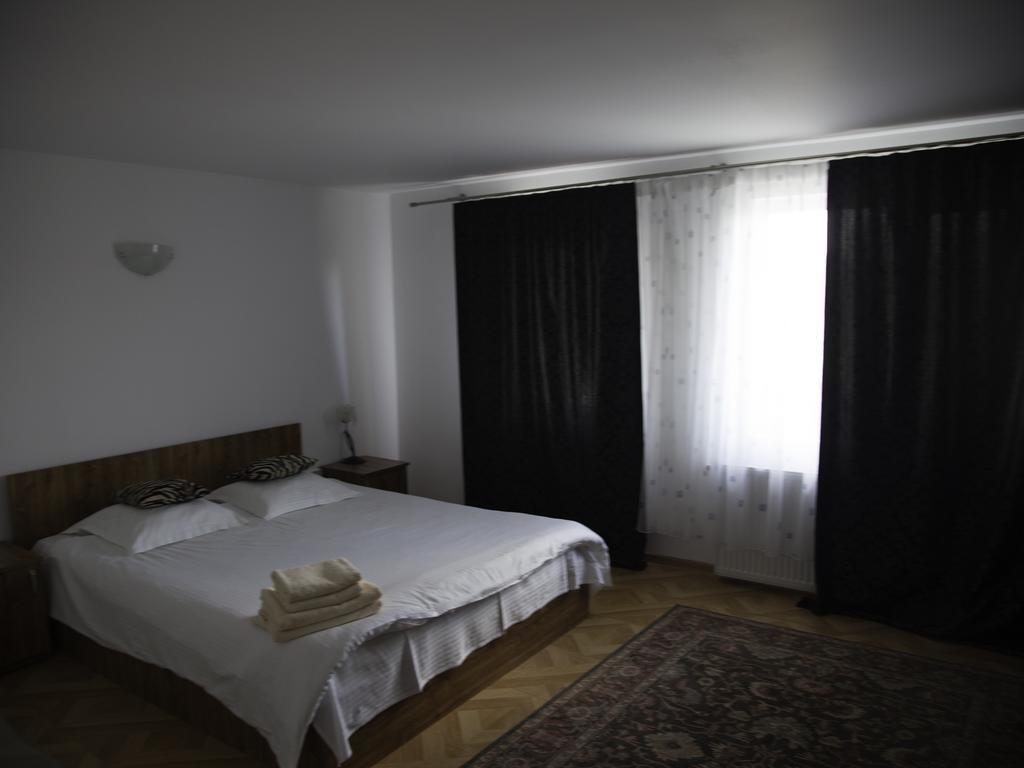 Hotel Vila Victoria Râmnicu Vâlcea Zewnętrze zdjęcie