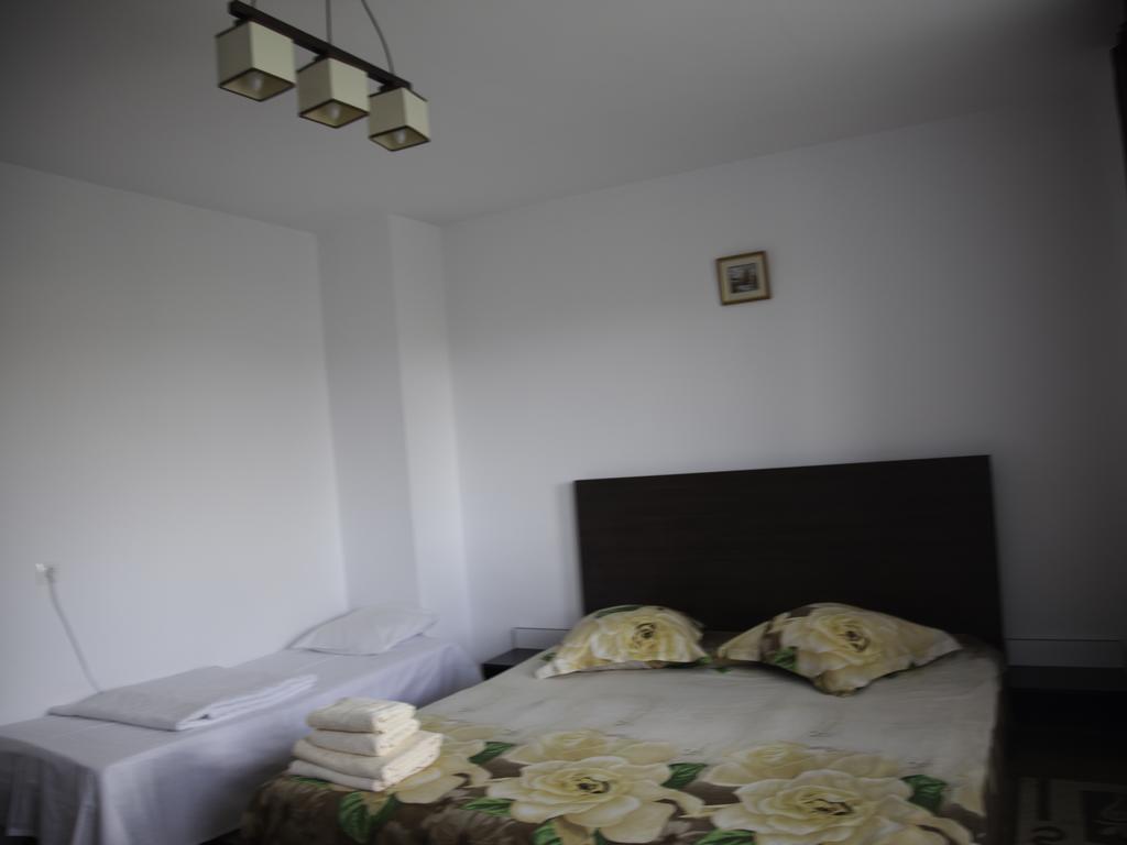 Hotel Vila Victoria Râmnicu Vâlcea Zewnętrze zdjęcie